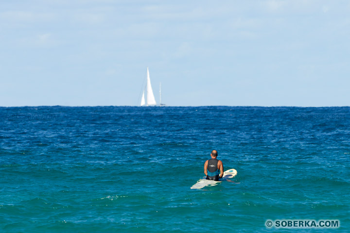 Surfeur et horizon à Sydney - Manly