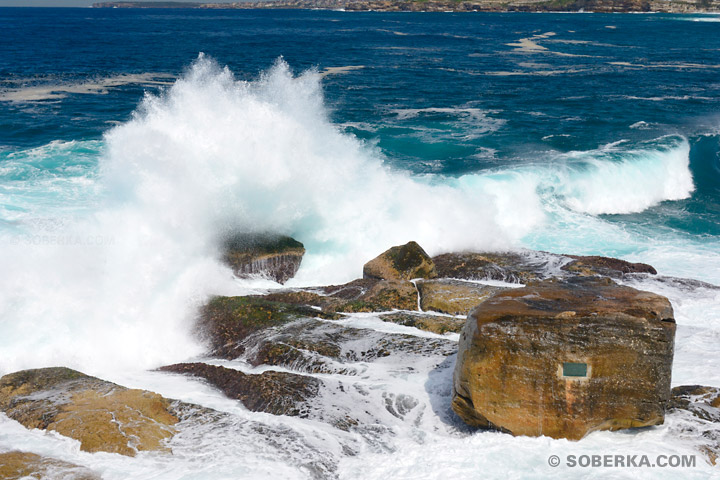 Vague et Rocher de Bondi Beach à Sydney - Bondi Beach