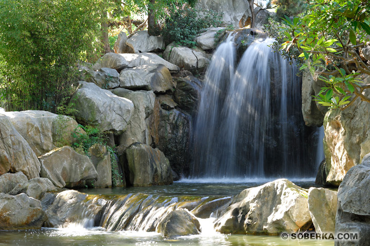 Cascade du Jardin chinois à Sydney