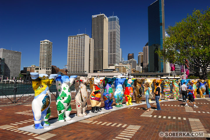 Buddy Bears à Sydney